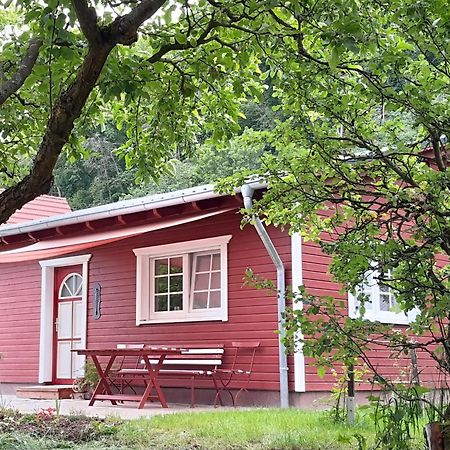 Ferienhaus Am Wald Wippra Dış mekan fotoğraf